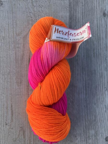 No 11 Mango Tango Flowers